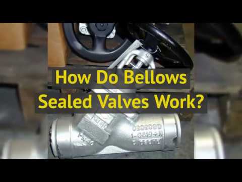 Bellows Sealed Valves Work